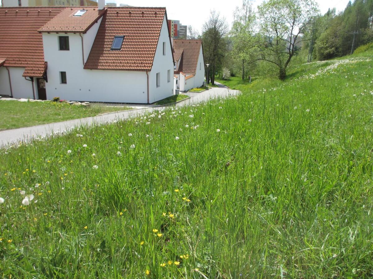 Apartmany U Prochazku Cesky Krumlov Exterior photo